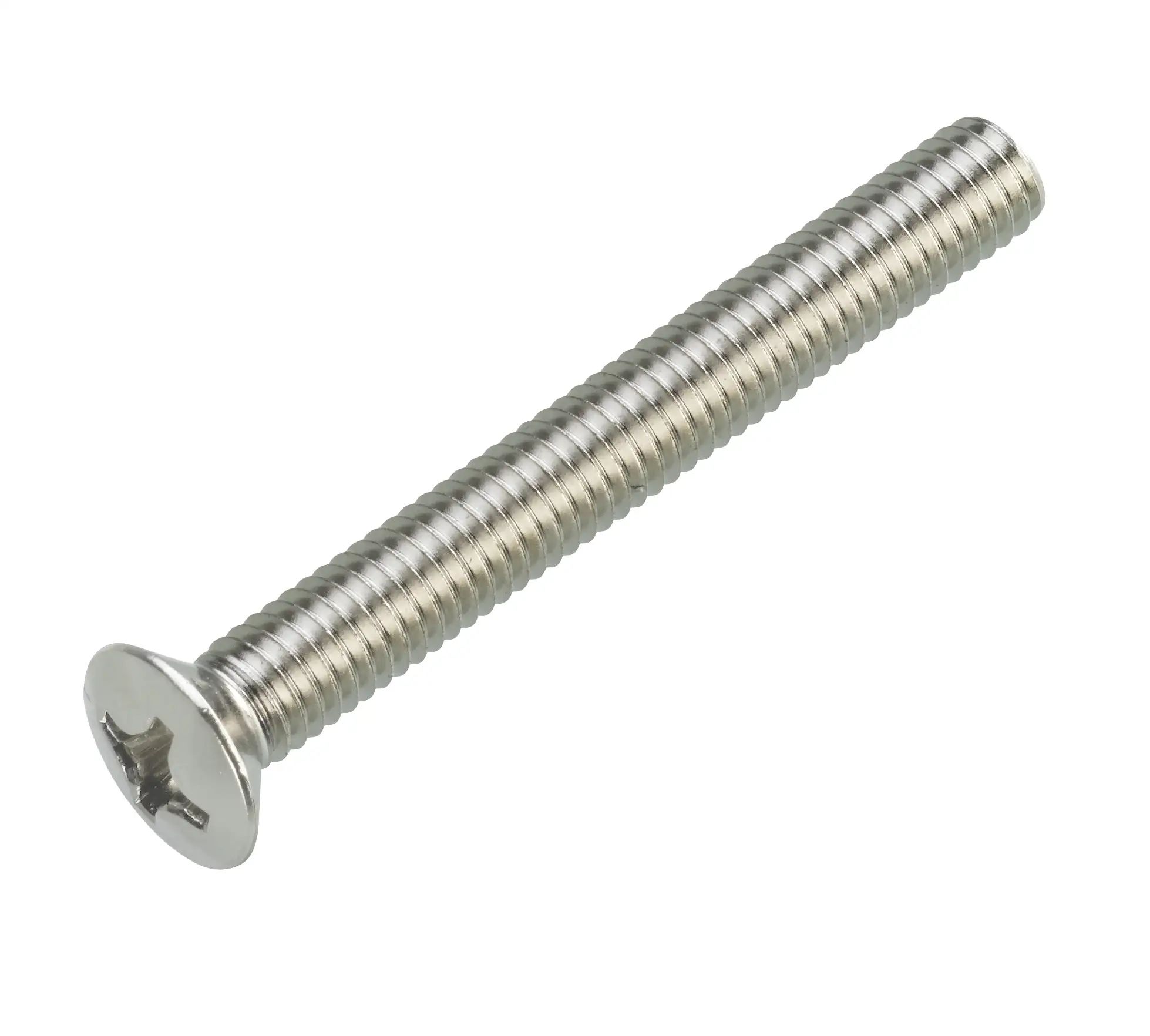 D0553 rvs bout M6 x 65 vlh beslag