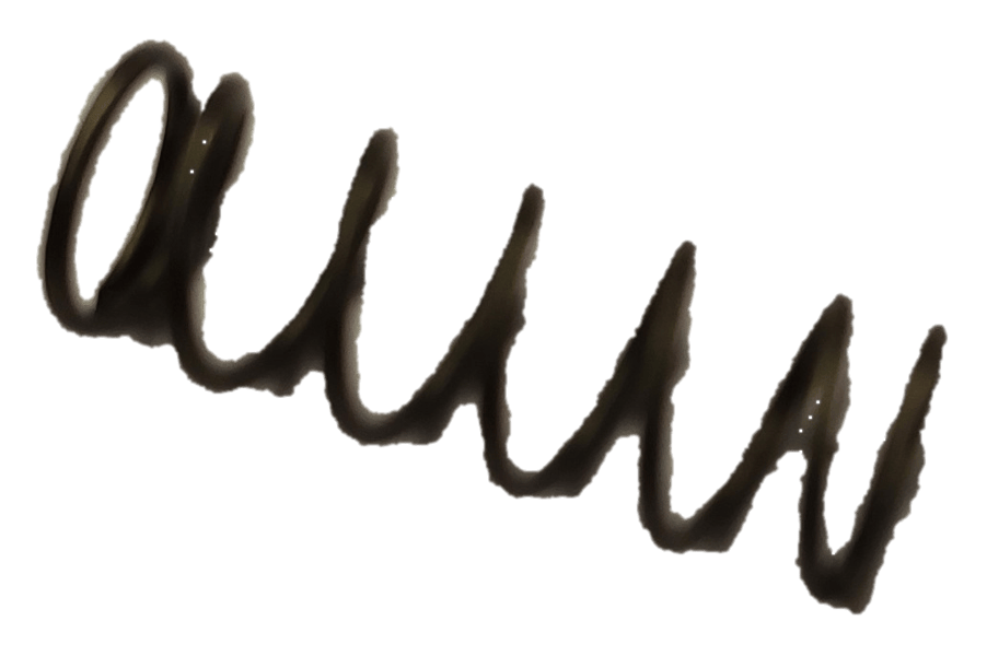 RIC05658B Wagen ontgrendelingsveer