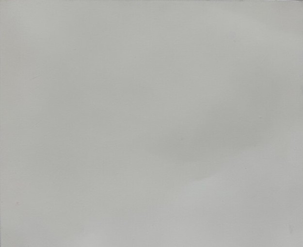 CSM T10-252 - White Shiny (1100 dtex)