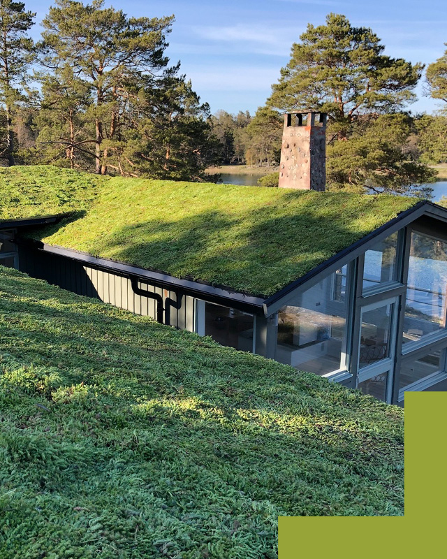 Groendak Lichthellend