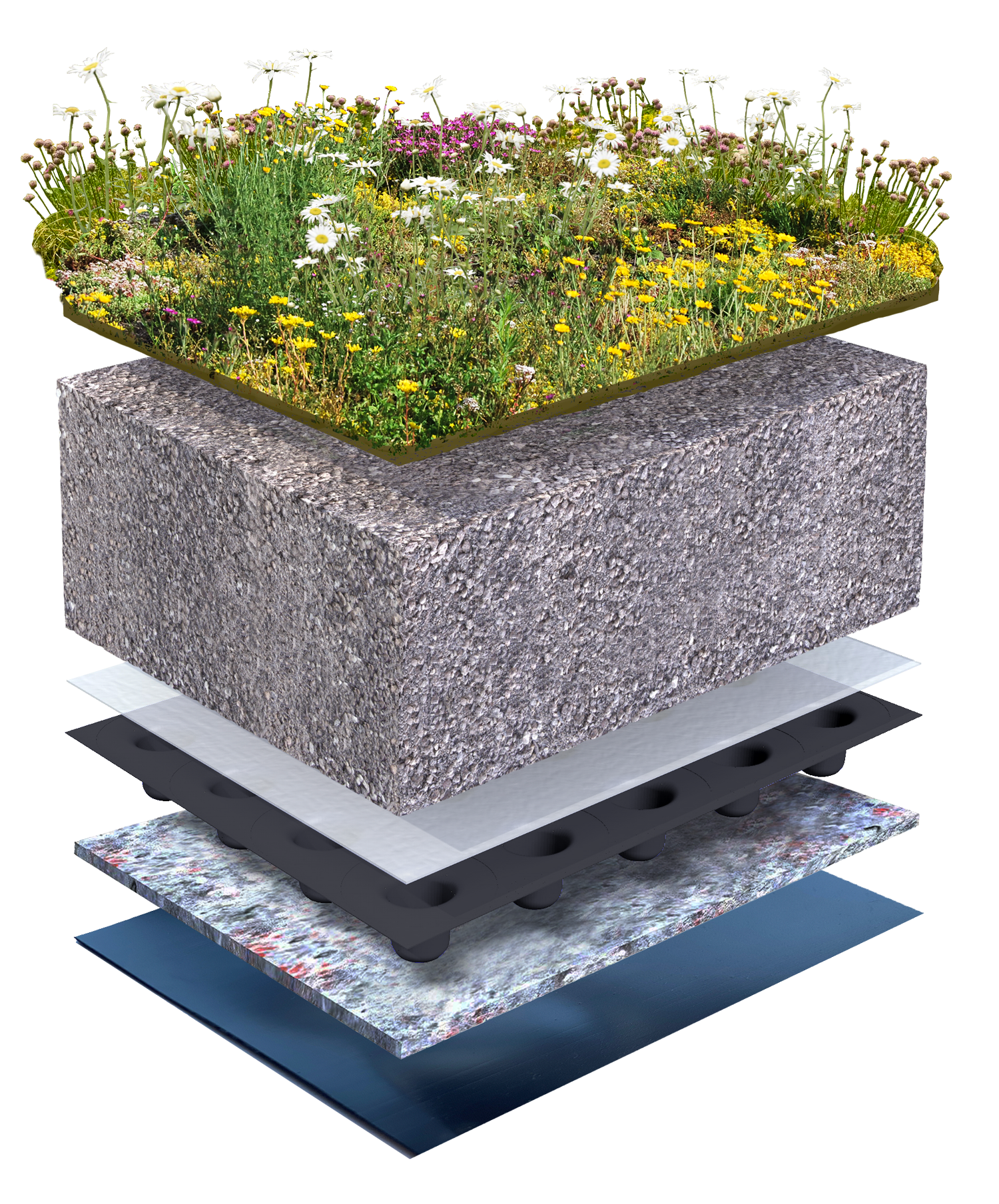  Biodivers groendak 0-5°