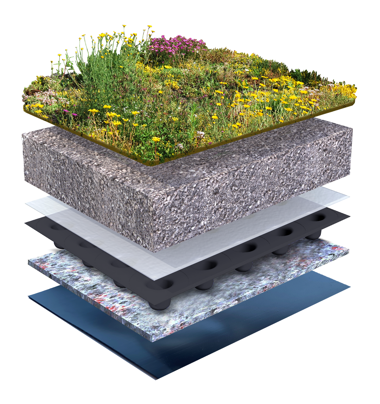 Biodivers groendak lichtgewicht 0-5°