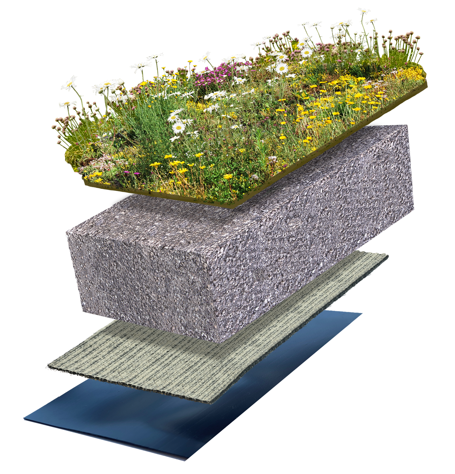 Biodivers groendak 5-15° 