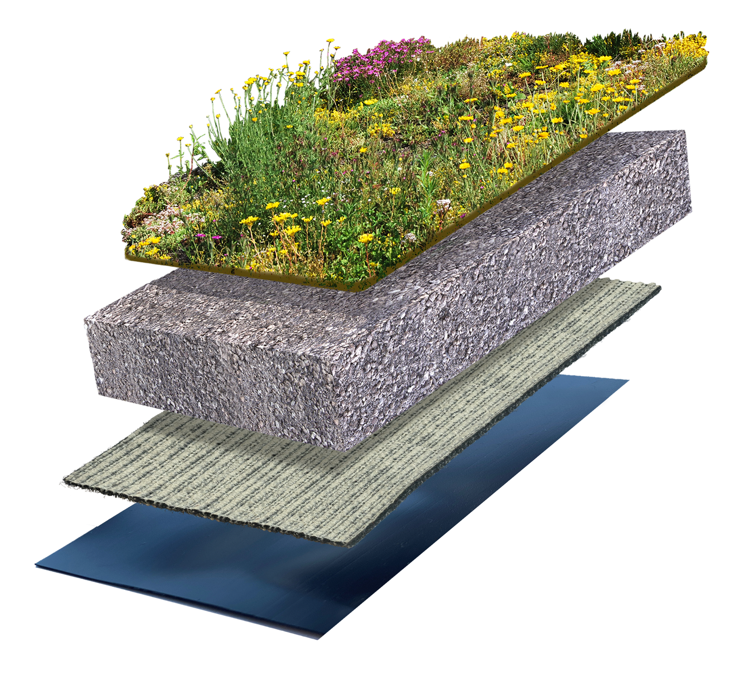 Biodivers groendak lichtgewicht 5-15° 