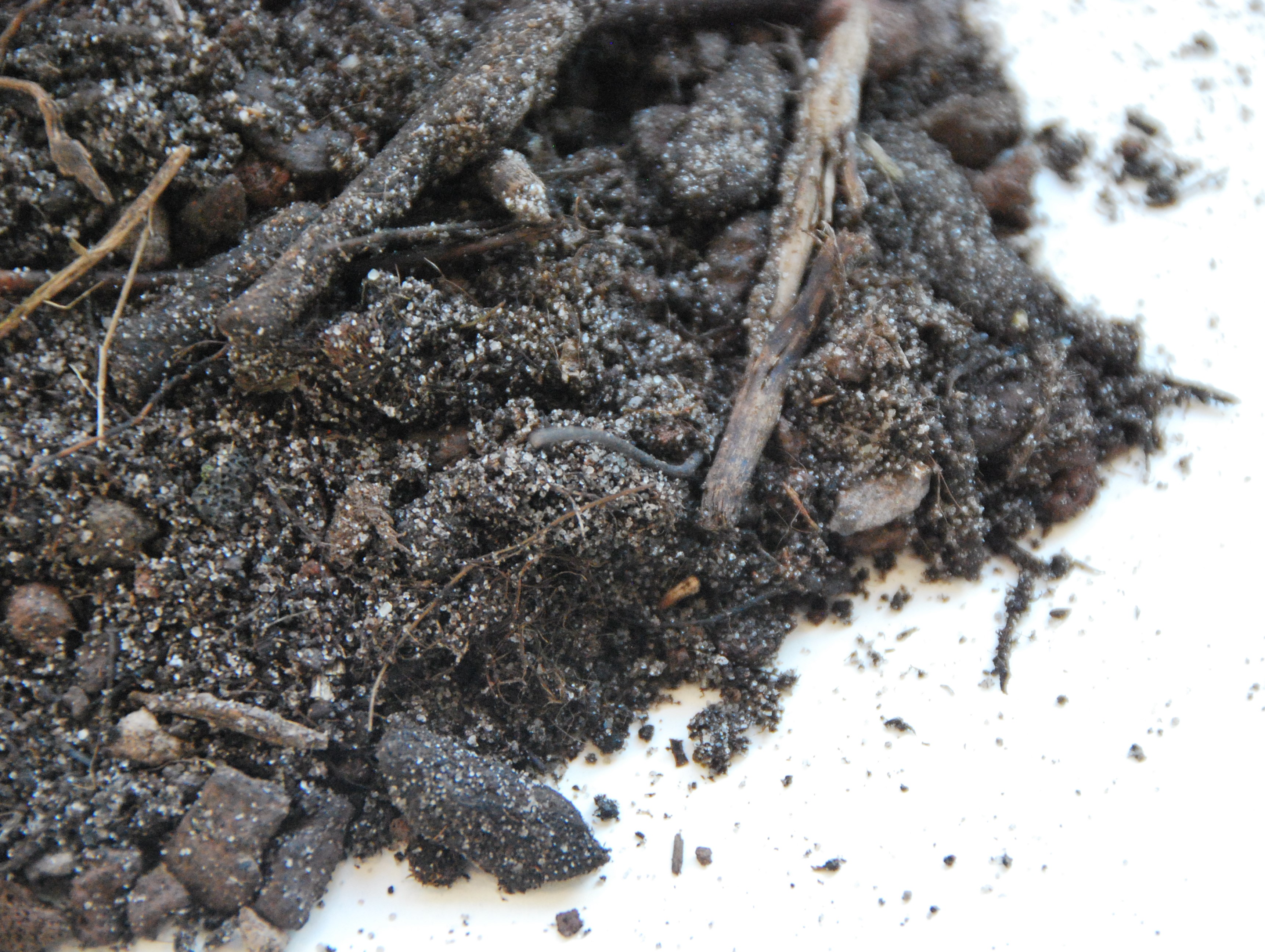 Substraten & Greenroll