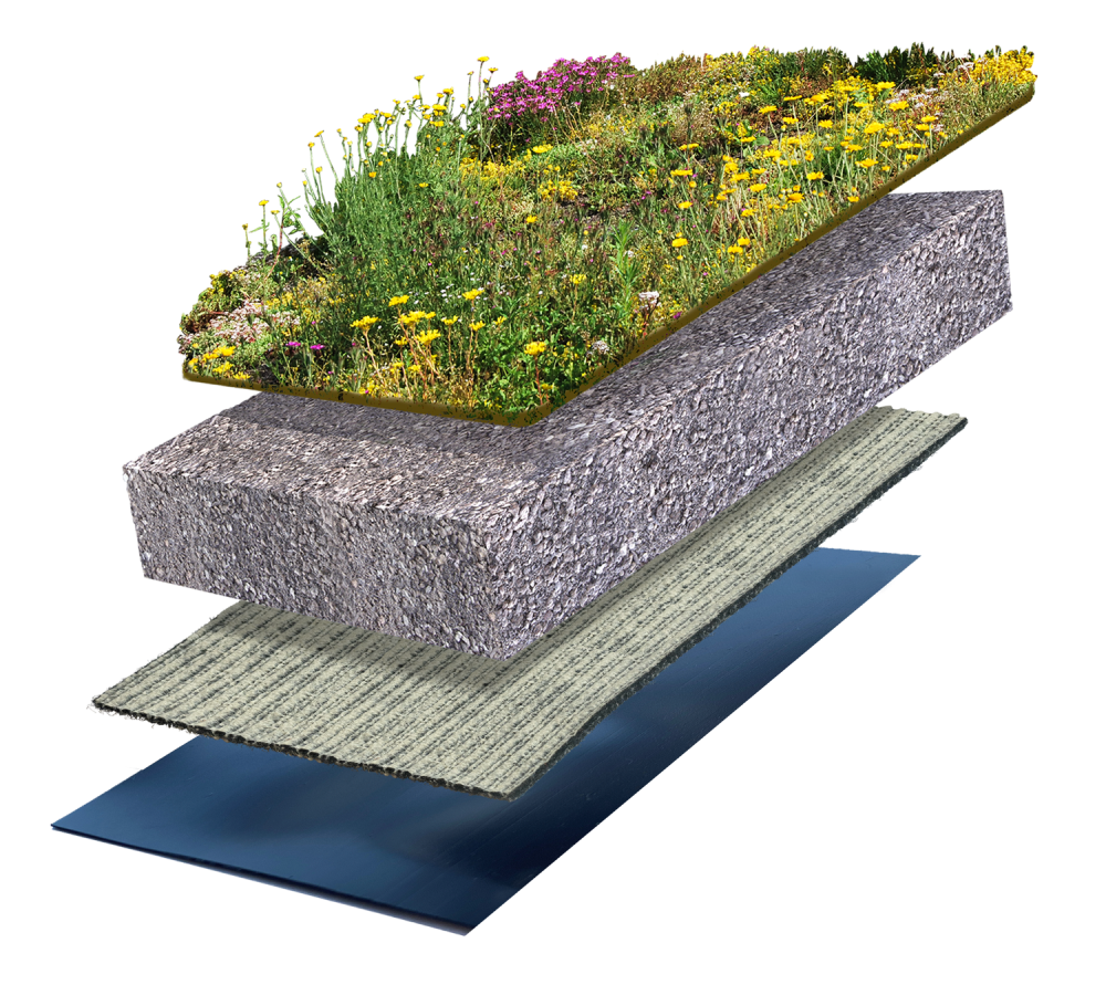 Sedum-kruidenmat | Substraat extensief big bag | Drainagevlies type 8