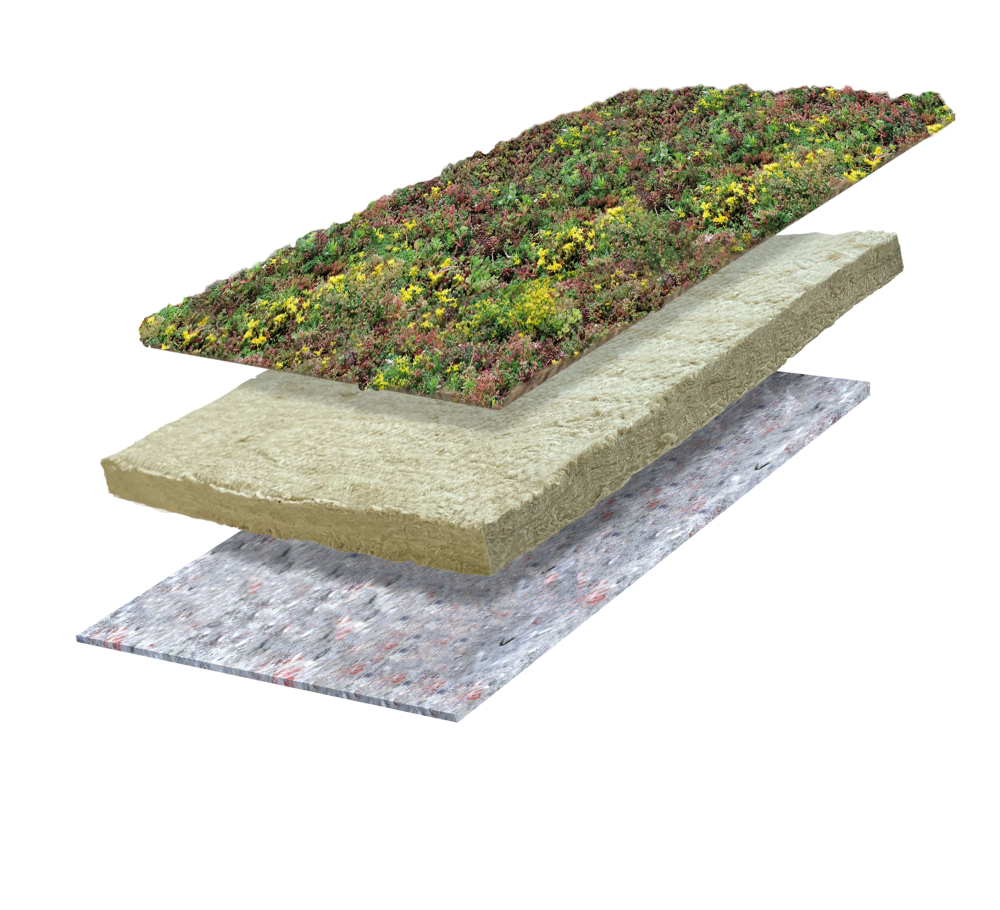 Sedummixmat | Green roll 40 mm | Waterbufferend vlies 1200g