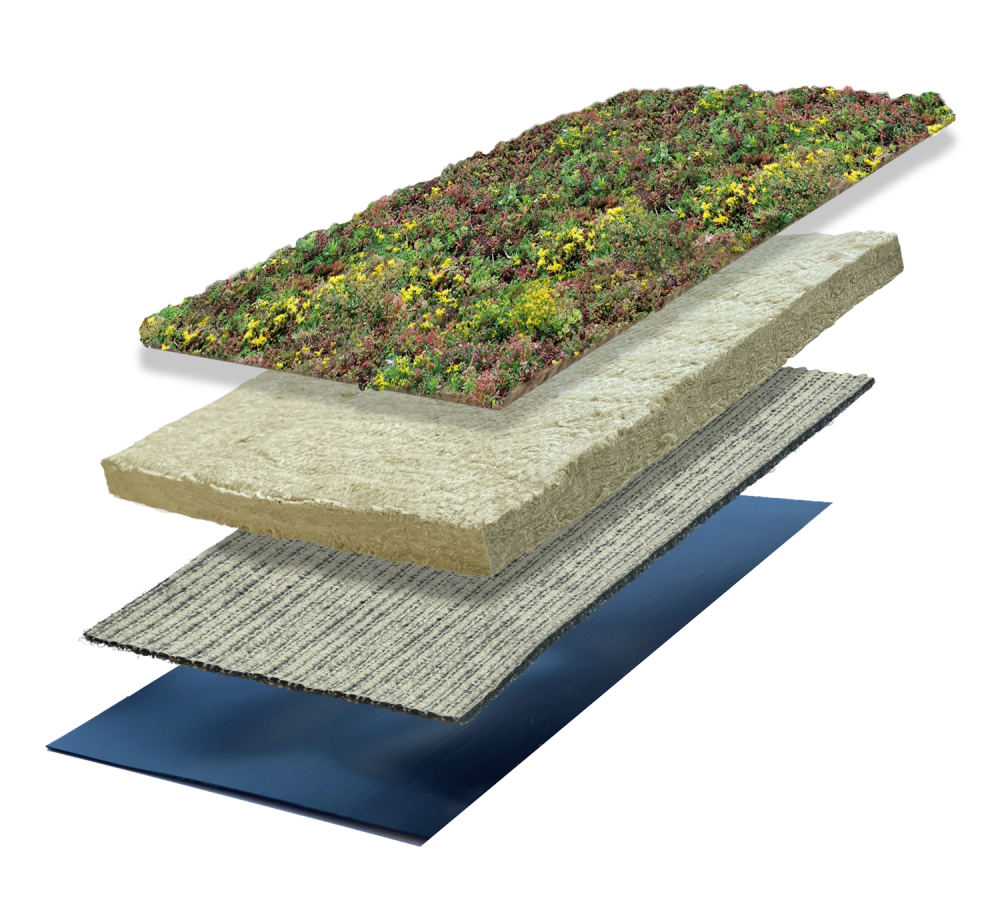 Sedummixmat | Green roll 40 mm | Drainagevlies type 8