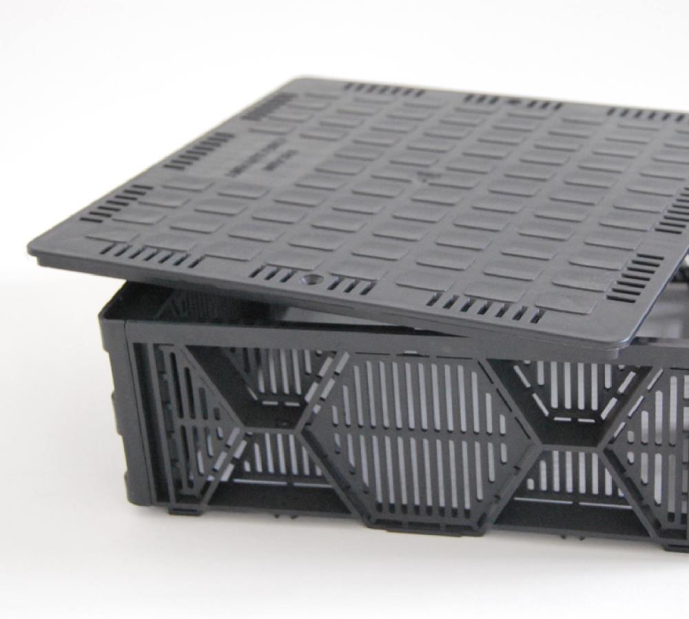 Sempergreen controleput