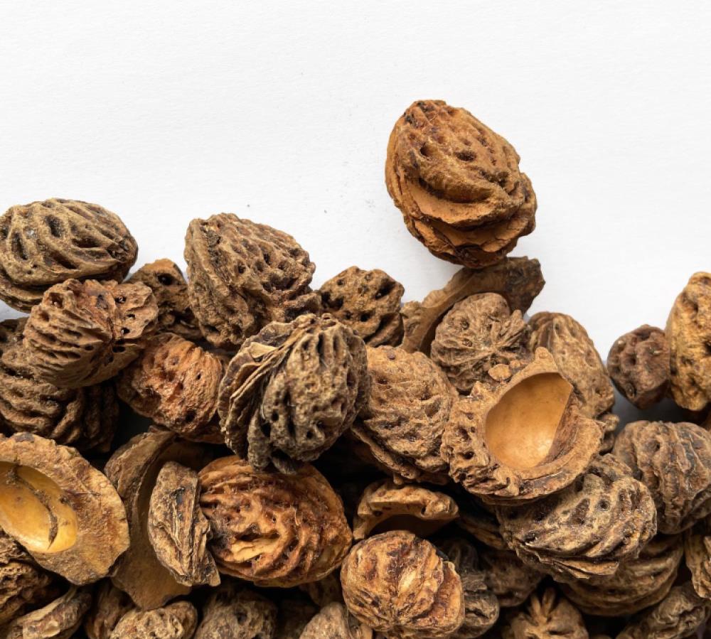 Sempergreen perziksteen zak (20L)