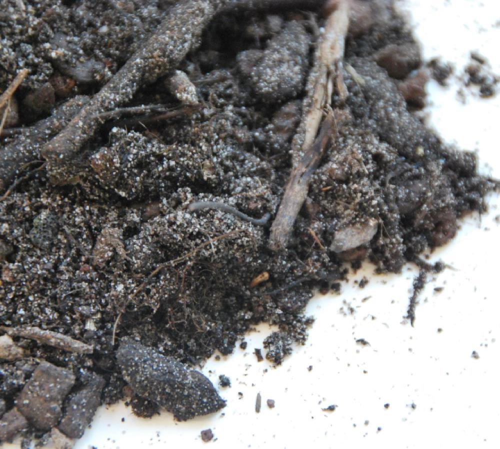 Sempergreen daktuinsubstraat extensief bigbag (1,0 m³)