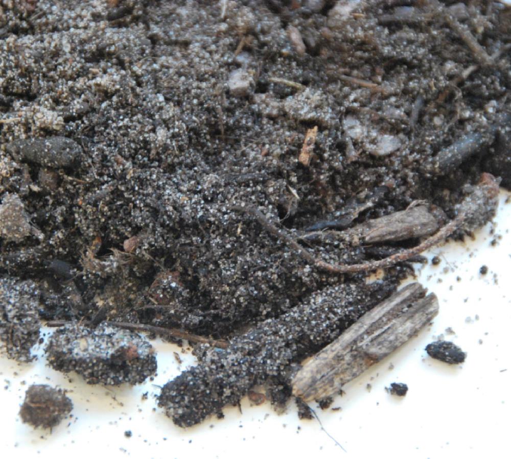 Sempergreen daktuinsubstraat intensief zak (20L) 