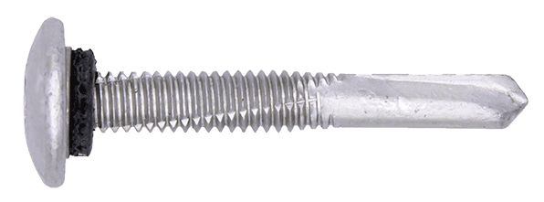 Zelfb. torx schroef T25 Mush, Bimetaal A2 304, BP5, 5,5 x 40 mm, ring 9 (250 st/doos)