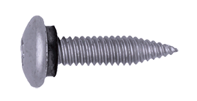 Torx schroef T25 mush pro RVS SUS410 scherpe punt