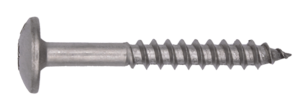 HTR schroef RVS type A