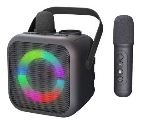 Soundmaster draagbaar Bluetooth karaokesysteem met 2 Bluetooth microfoons