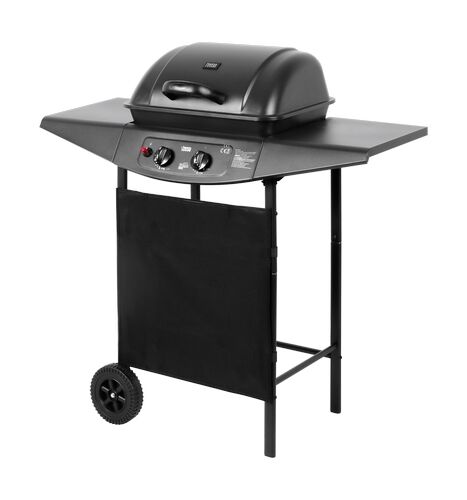 Teesa Gas BBQ 2000 met 2 branders