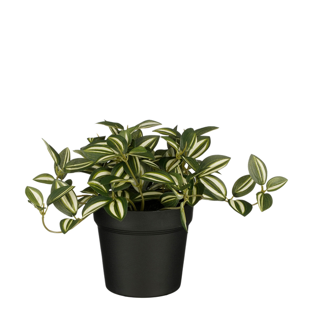Kunstplant Mica Tradescantia in pot groen 16x16cm