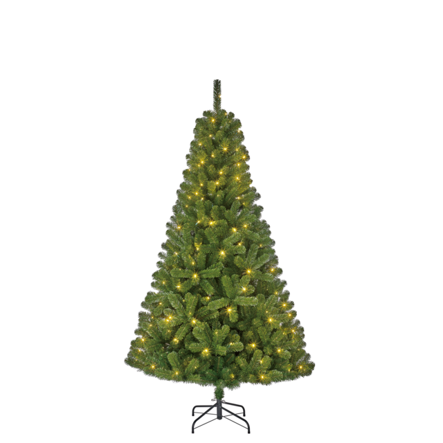 Kerstboom Blackbox Charlton led groen 185cm