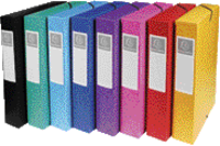 Elastobox Exacompta A4 60mm 600gr assorti
