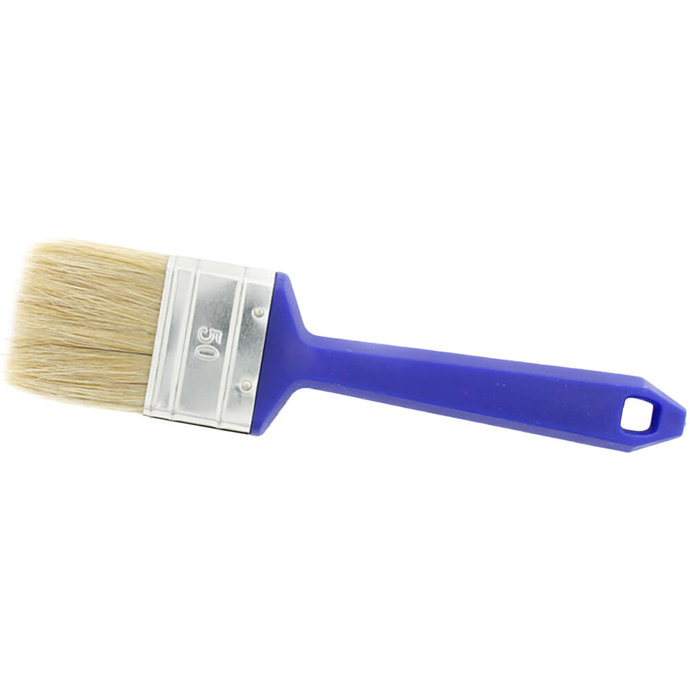 Wegwerpkwast plat 50mm