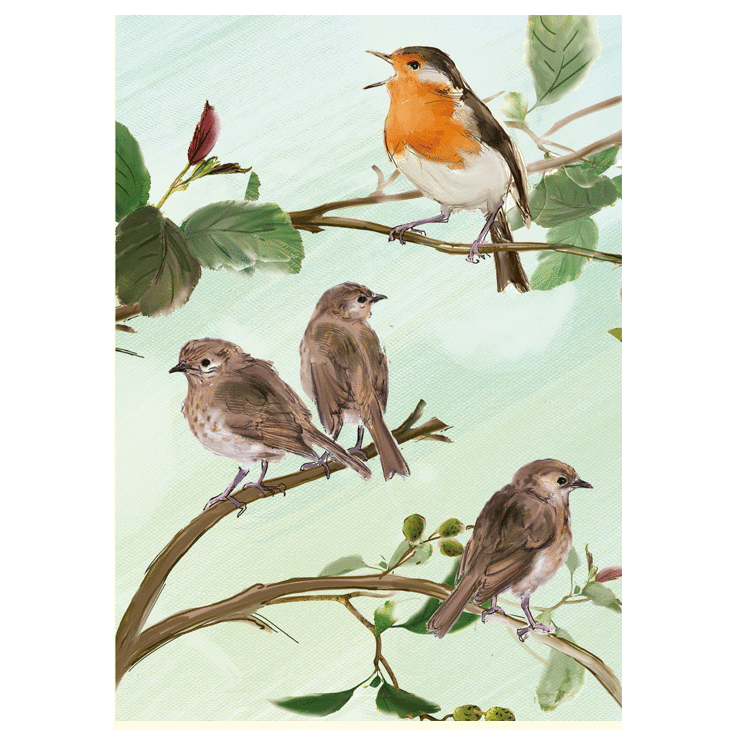 Robins by Julian by Julian Wlliams