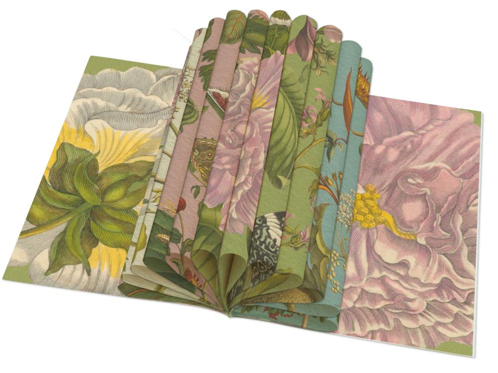 Cadeaupapier: Maria Sibylla Merian, Rijksmuseum Amsterdam