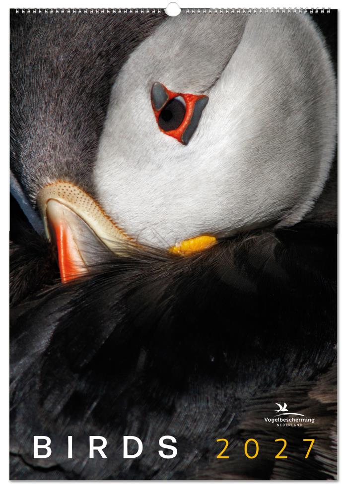 Birds posterkalender 2027, Vogelbescherming