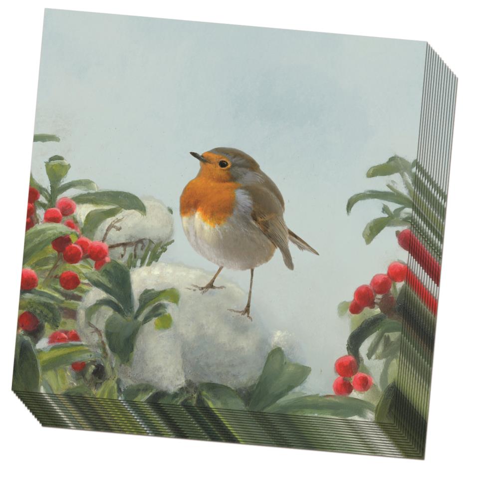 Servetten: A Robin’s Winter, Elwin van der Kolk, Vogelbescherming Nederland