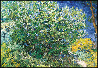 The Lilac Bush, Vincent van Gogh