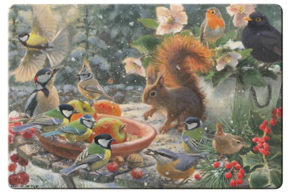 Placemat: A Robin’s Winter, Elwin van der Kolk, Vogelbescherming Nederland