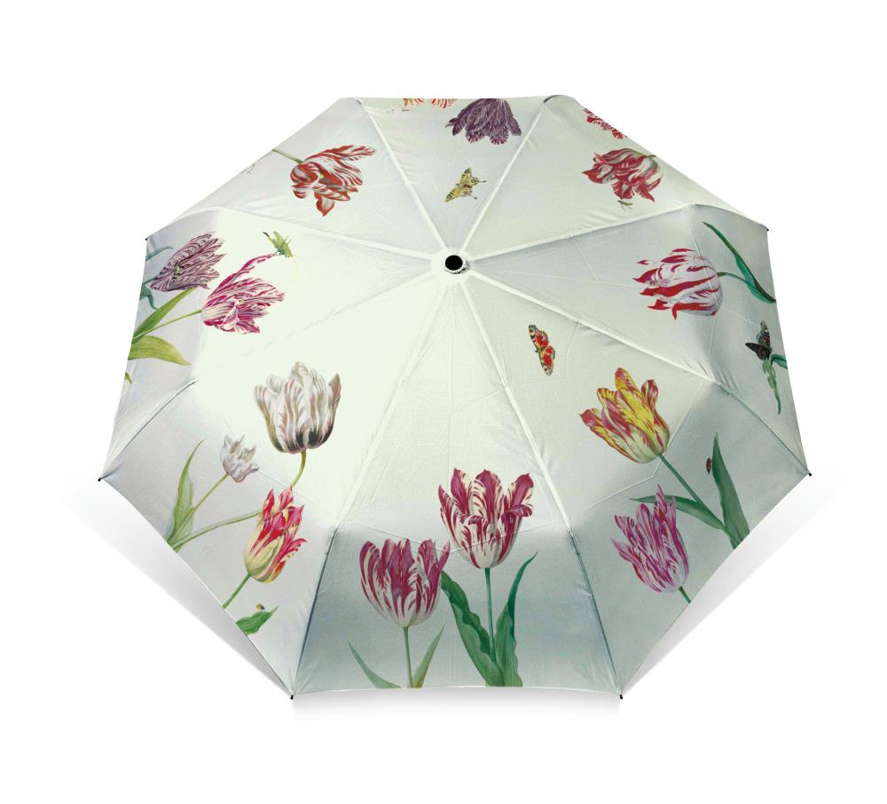 Vouwparaplu: Tulpen/Tulips, Jacob Marrel, Collection Rijksmuseum Amsterdam
